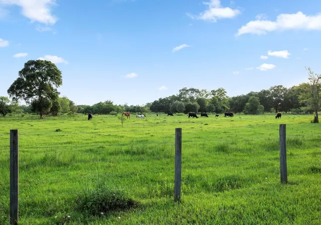 5th image of 19245 Fm 442 Rd, Boling, TX 77420 | MLS# 3473506