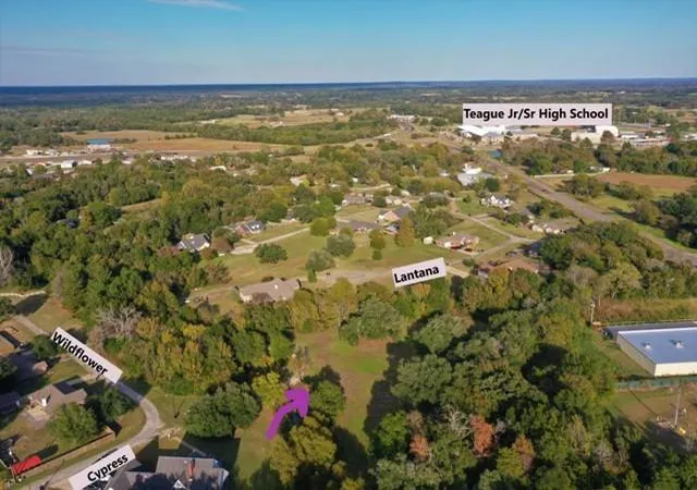 Photo 2 of Land for sale at 103 Wildflower Ln, Teague, TX 75860 | MLS# 48200784 | Listing updated on 2026-05-29