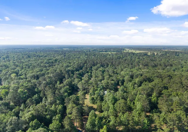 18th image of 200 Spring Ridge Rd, Coldspring, TX 77331 | MLS# 36342038