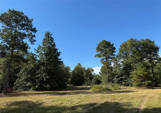 2nd image of 200 Spring Ridge Rd, Coldspring, TX 77331 | MLS# 36342038