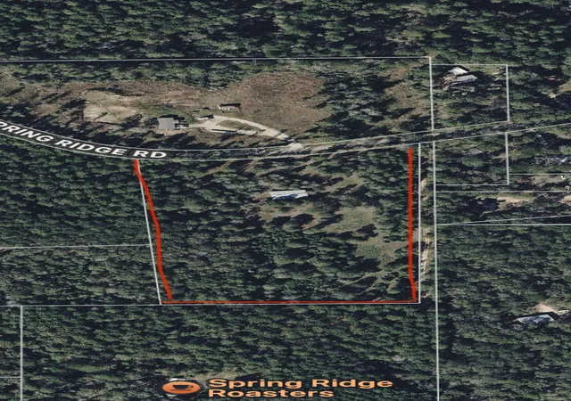 4th image of 200 Spring Ridge Rd, Coldspring, TX 77331 | MLS# 36342038