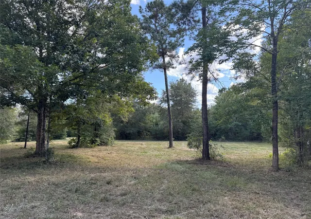 5th image of 200 Spring Ridge Rd, Coldspring, TX 77331 | MLS# 36342038