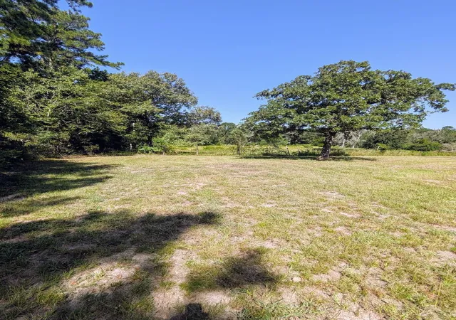 4th image of 15662 County Road 304, Navasota, TX 77868 | MLS# 15833483
