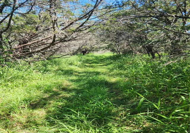 Photo 3 of Land for sale at Tbd Forest Dr, Burnet, TX 78611 | MLS# 79008600 | Listing updated on 2026-07-21