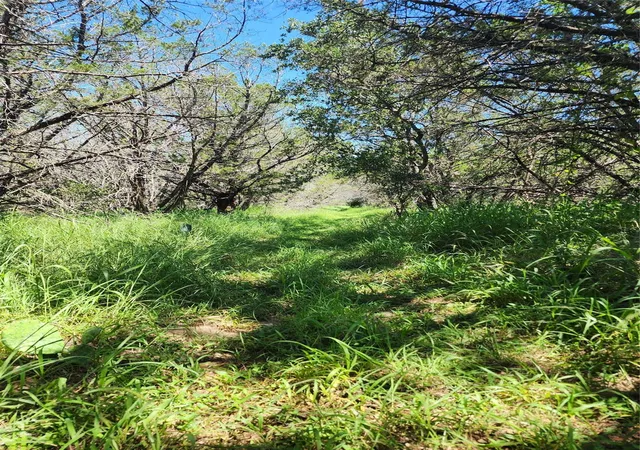 Photo 4 of Land for sale at Tbd Forest Dr, Burnet, TX 78611 | MLS# 79008600 | Listing updated on 2026-07-21