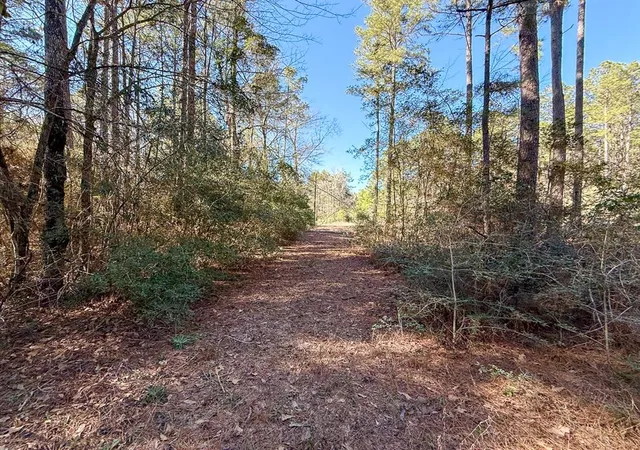 Photo 4 of Land for sale at 47 Copperleaf Rd, Huntsville, TX 77340 | MLS# 46380496 | Listing updated on 2026-02-09