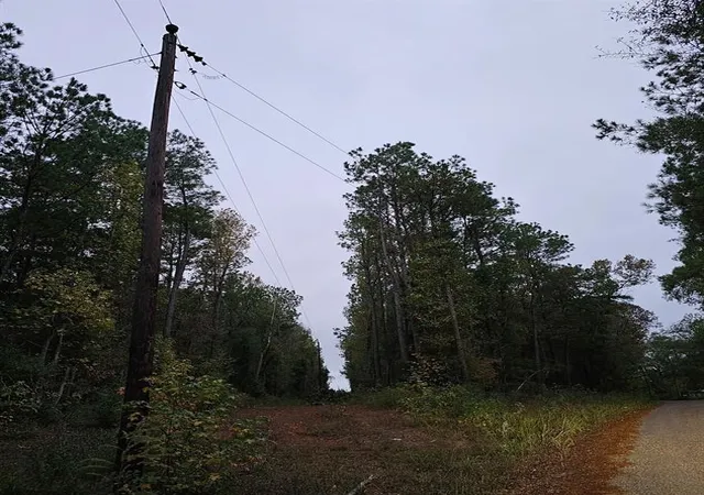 Photo 3 of Land for sale at 0 County Road 310, Jasper, TX 75951 | MLS# 43702525 | Listing updated on 2025-10-05