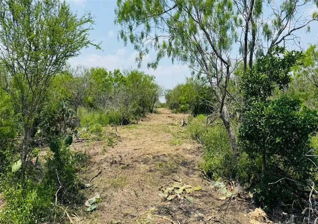 Photo 3 of Land for sale at Tbd 2352 Ac Fm 888, Beeville, TX 78102 | MLS# 14540047 | Listing updated on 2026-09-23