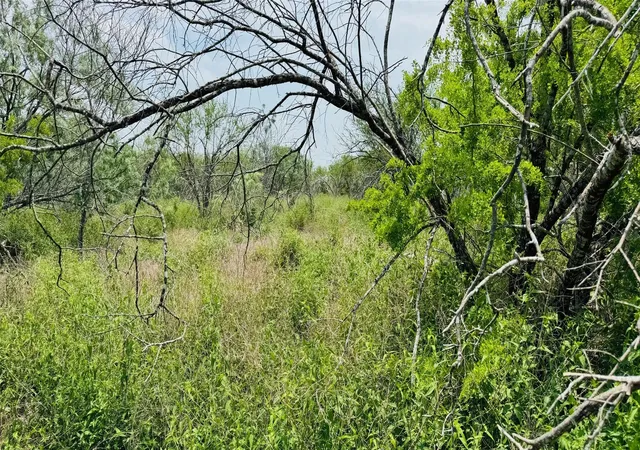 Photo 4 of Land for sale at Tbd 2352 Ac Fm 888, Beeville, TX 78102 | MLS# 14540047 | Listing updated on 2026-09-23
