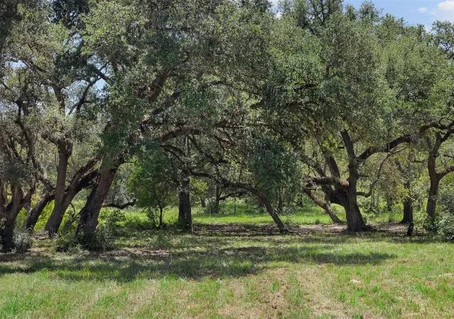 2nd image of 1080 Muddy Creek Rd, Columbus, TX 78934 | MLS# 63532006