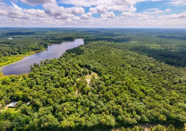 Homes for sale in Colmesneil, TX | Tbd County Road 3145, Colmesneil, TX 75938 | MLS# 24363369