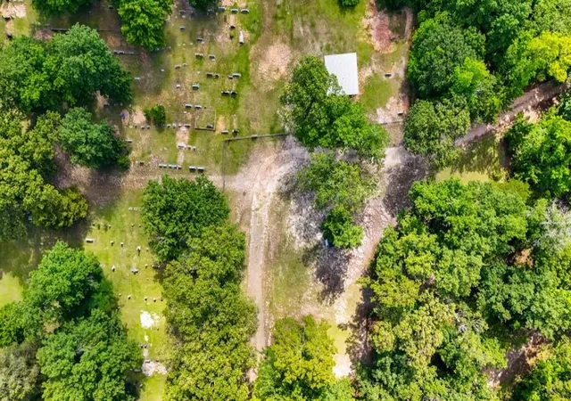 Homes for sale in Colmesneil, TX | Tbd County Road 3145, Colmesneil, TX 75938 | MLS# 24363369