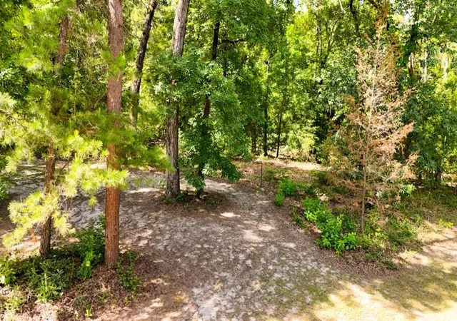 Homes for sale in Colmesneil, TX | Tbd County Road 3145, Colmesneil, TX 75938 | MLS# 24363369