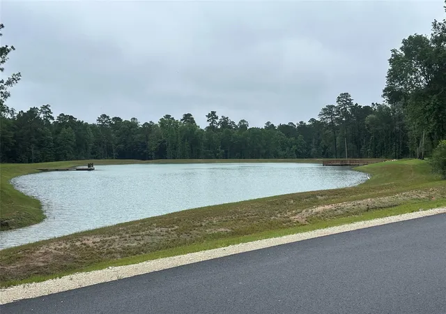 Homes for sale in New Waverly, TX | 149 Hollow Hill Dr, New Waverly, TX 77340 | MLS# 22266923