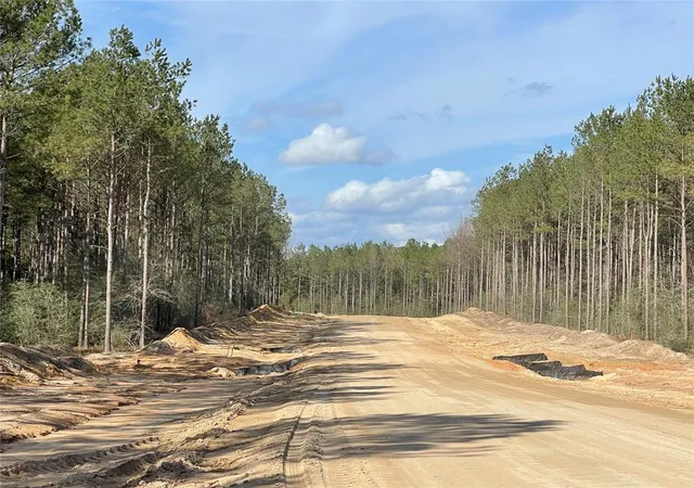 Photo 4 of Land for sale at 15327 Forest Grv Dr, Willis, TX 77378 | MLS# 76566025 | Listing updated on 2026-09-14