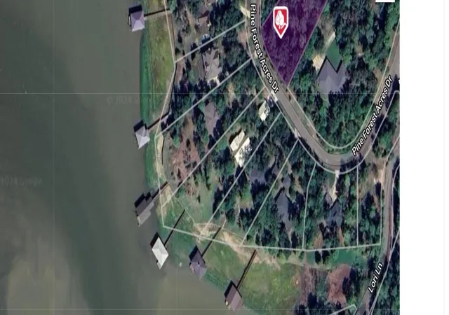Photo 12 of Land for sale at 400 Pine Forest Acres, Trinity, TX 75862 | MLS# 8842789 | Listing updated on 2026-05-29