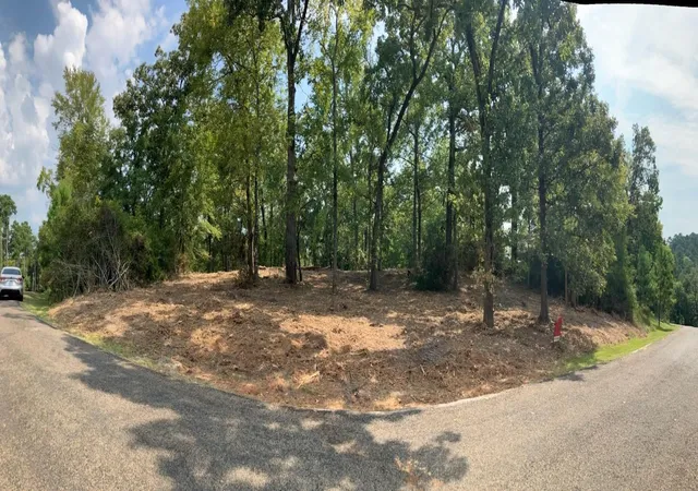 Photo 1 of Land for sale at 400 Pine Forest Acres, Trinity, TX 75862 | MLS# 8842789 | Listing updated on 2026-05-29