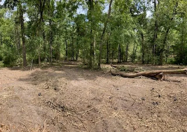 Photo 2 of Land for sale at 400 Pine Forest Acres, Trinity, TX 75862 | MLS# 8842789 | Listing updated on 2026-05-29