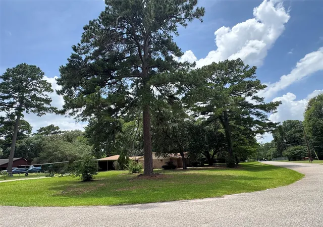 33rd image of 30819 Meadow Wood Dr, Magnolia, TX 77354 | MLS# 70968447