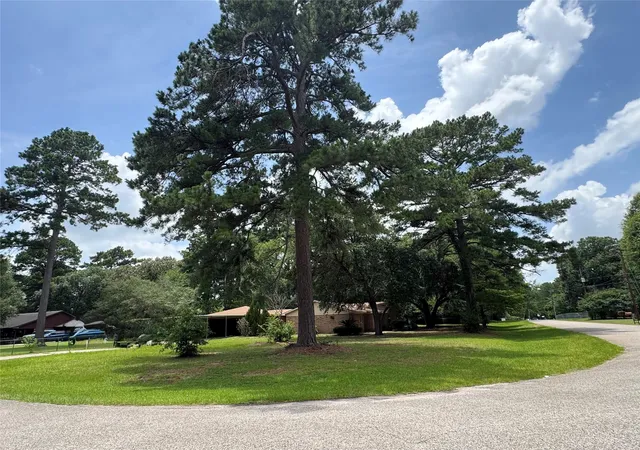 3rd image of 30819 Meadow Wood Dr, Magnolia, TX 77354 | MLS# 70968447
