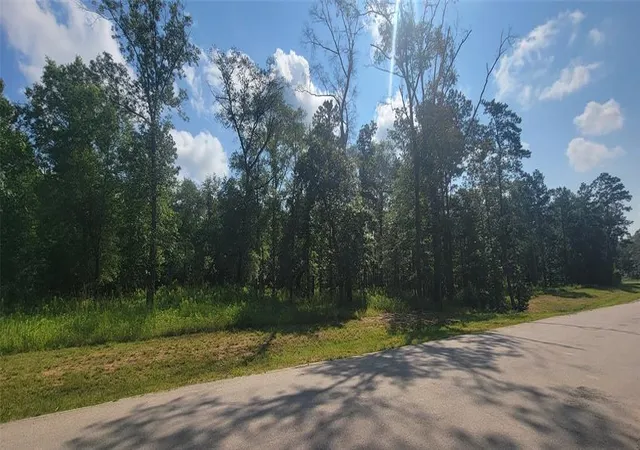 3rd image of 1505 County Road 632, Dayton, TX 77535 | MLS# 23697321