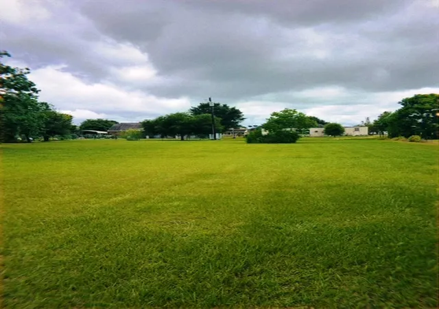 Photo 3 of Land for sale at 00 Willis St, Eagle Lake, TX 77434 | MLS# 49225898 | Listing updated on 2026-09-08