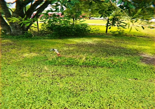Photo 4 of Land for sale at 00 Willis St, Eagle Lake, TX 77434 | MLS# 49225898 | Listing updated on 2026-09-08