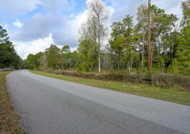 Photo 4 of Land for sale at 28016 Greenbriar Dr, Hockley, TX 77447 | MLS# 41814447 | Listing updated on 2026-05-11