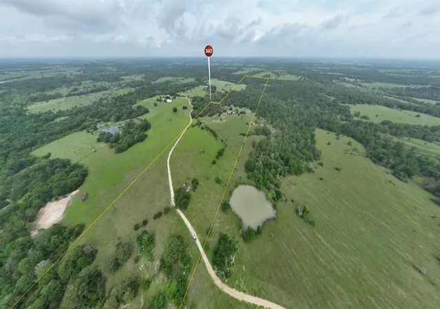 Photo 21 of Land for sale at R13945 A0049j Peterson Tract 50 Acres, Anderson, TX 77830 | MLS# 5690412 | Listing updated on 2026-05-05