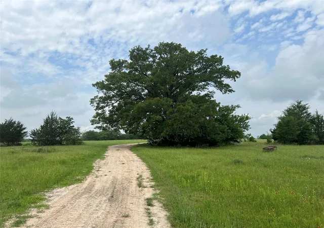 Photo 2 of Land for sale at R13945 A0049j Peterson Tract 50 Acres, Anderson, TX 77830 | MLS# 5690412 | Listing updated on 2026-05-05