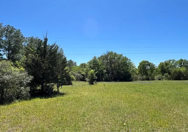 Photo 3 of Land for sale at R13945 A0049j Peterson Tract 50 Acres, Anderson, TX 77830 | MLS# 5690412 | Listing updated on 2026-05-05
