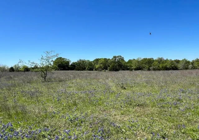 Photo 4 of Land for sale at R13945 A0049j Peterson Tract 50 Acres, Anderson, TX 77830 | MLS# 5690412 | Listing updated on 2026-05-05
