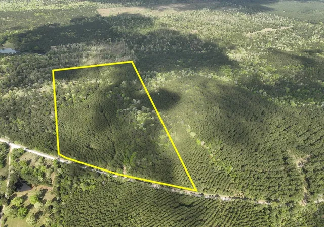 1st image of 2 Cr 4280, Woodville, TX 75979 | MLS# 10647161