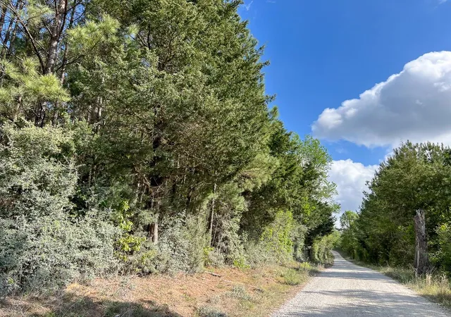 2nd image of 2 Cr 4280, Woodville, TX 75979 | MLS# 10647161