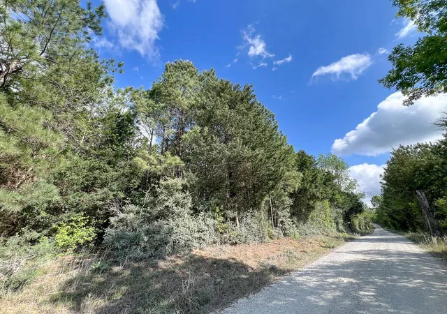 3rd image of 2 Cr 4280, Woodville, TX 75979 | MLS# 10647161