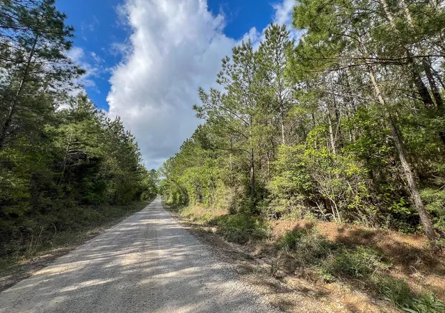 4th image of 2 Cr 4280, Woodville, TX 75979 | MLS# 10647161