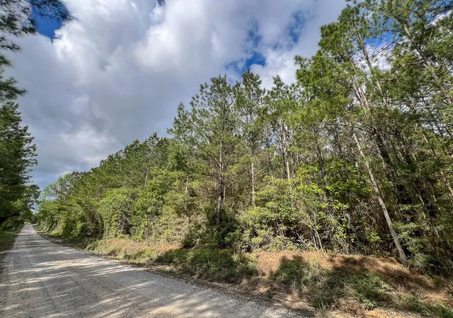 9th image of 2 Cr 4280, Woodville, TX 75979 | MLS# 10647161