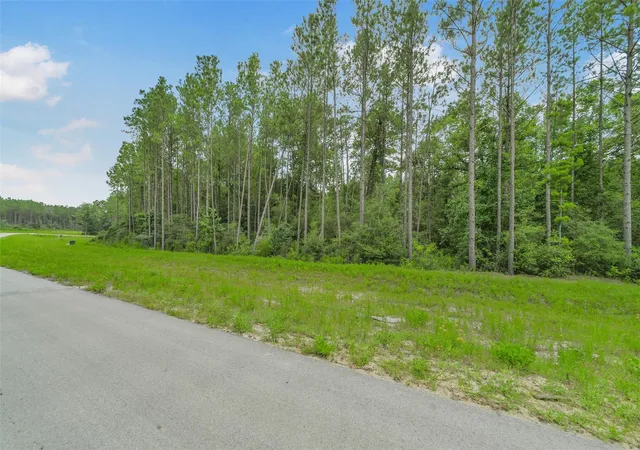 Photo 1 of Land for sale at 11991 High Branch Way, Willis, TX 77378 | MLS# 14354014 | Listing updated on 2026-06-30