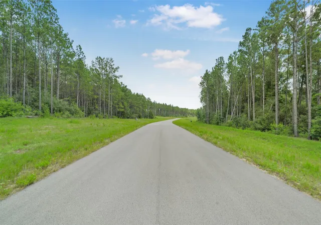 Photo 2 of Land for sale at 11991 High Branch Way, Willis, TX 77378 | MLS# 14354014 | Listing updated on 2026-06-30