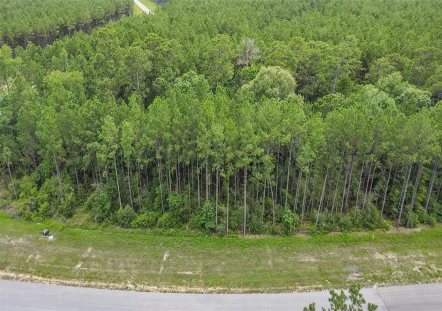 Photo 3 of Land for sale at 11991 High Branch Way, Willis, TX 77378 | MLS# 14354014 | Listing updated on 2026-06-30