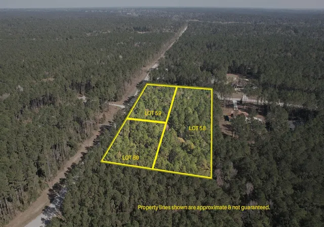 1st image of 12 22 58 Grey Feather Rd, Huntsville, TX 77340 | MLS# 84683837
