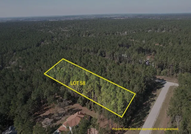 2nd image of 12 22 58 Grey Feather Rd, Huntsville, TX 77340 | MLS# 84683837