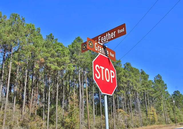 3rd image of 12-22-58 Grey Feather Rd, Huntsville, TX 77340 | MLS# 84683837