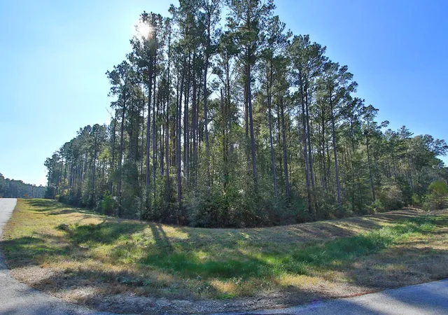 5th image of 12-22-58 Grey Feather Rd, Huntsville, TX 77340 | MLS# 84683837