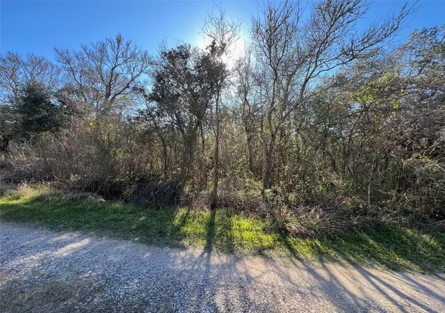 Photo 1 of Land for sale at 0 Segundo, Brazoria, TX 77422 | MLS# 82913202 | Listing updated on 2026-09-15