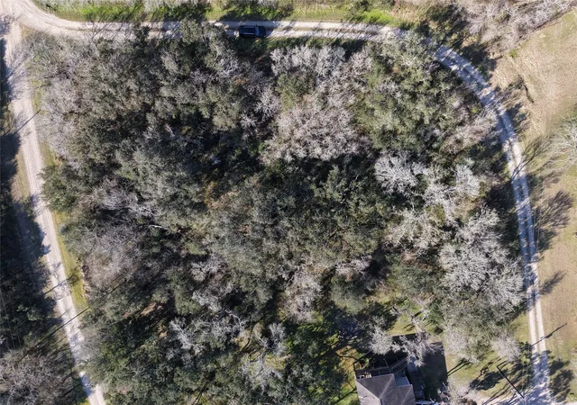 Photo 3 of Land for sale at 0 Segundo, Brazoria, TX 77422 | MLS# 82913202 | Listing updated on 2026-09-15