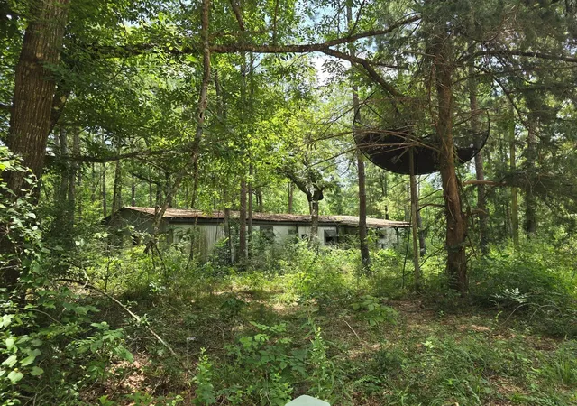 Photo 2 of Land for sale at 261 Patricia Dr, Livingston, TX 77351 | MLS# 18705574 | Listing updated on 2026-06-27