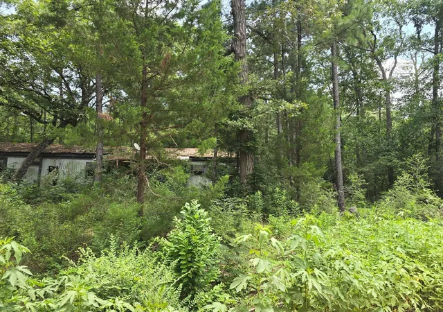Photo 3 of Land for sale at 261 Patricia Dr, Livingston, TX 77351 | MLS# 18705574 | Listing updated on 2026-06-27