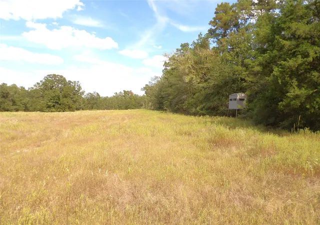 Homes for sale in Pennington, TX | 7749 Cr 4200, Pennington, TX 75856 | MLS# 98751753