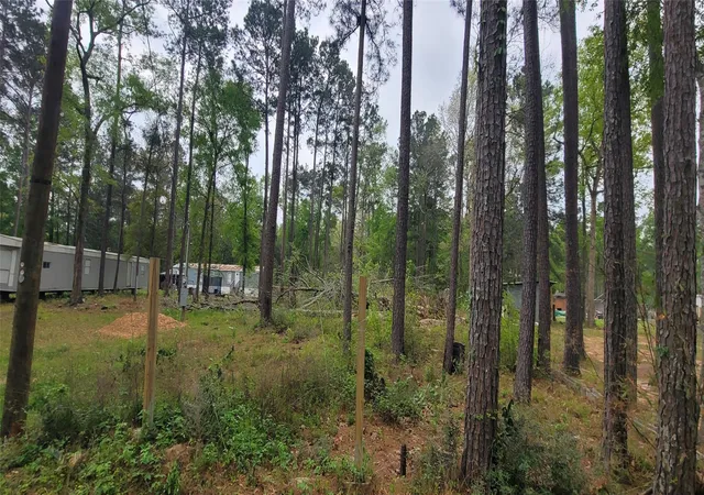 Photo 1 of Land for sale at 451 N Higgins Rd, Shepherd, TX 77371 | MLS# 75115349 | Listing updated on 2026-07-16
